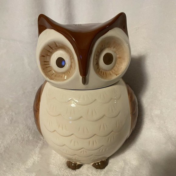 Cost Plus World Market Other - World Market Ceramic Owl Cookie/Stash Jar